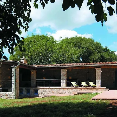 Marvelous Istrian Morus *